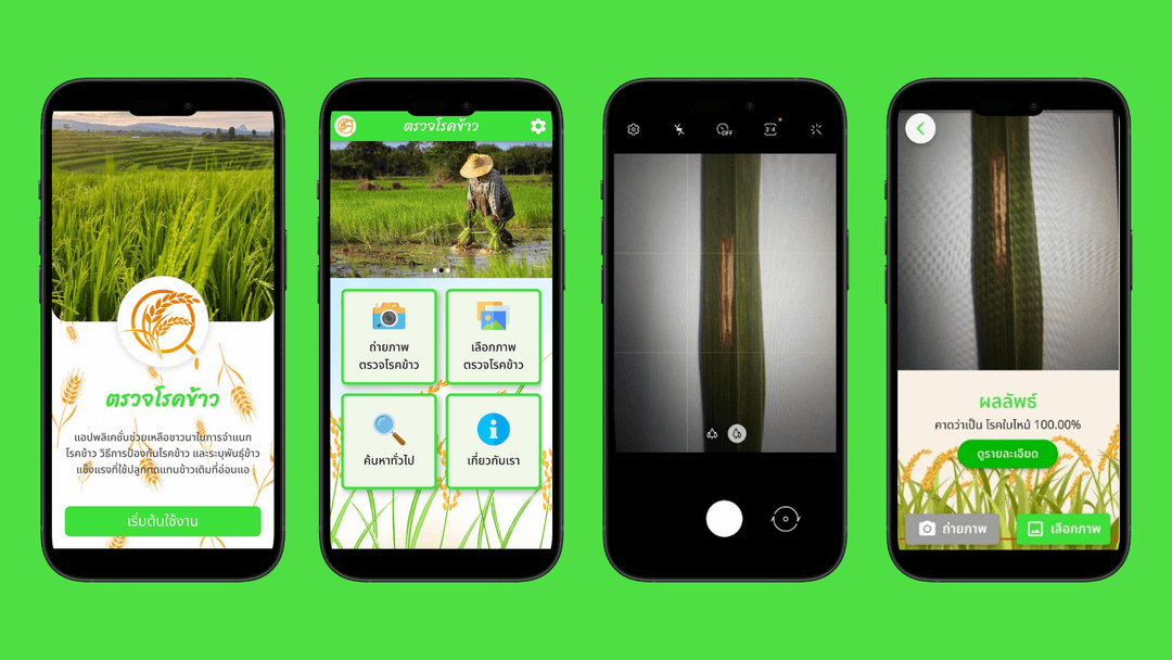 NSC work [semi-final] - Classification of disease effecting rice leaves using image processing and deep learning